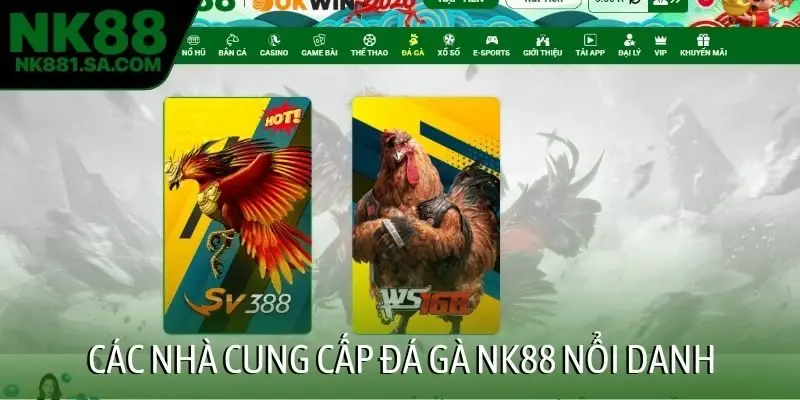 Các nhà cung cấp đá gà NK88 nổi danh