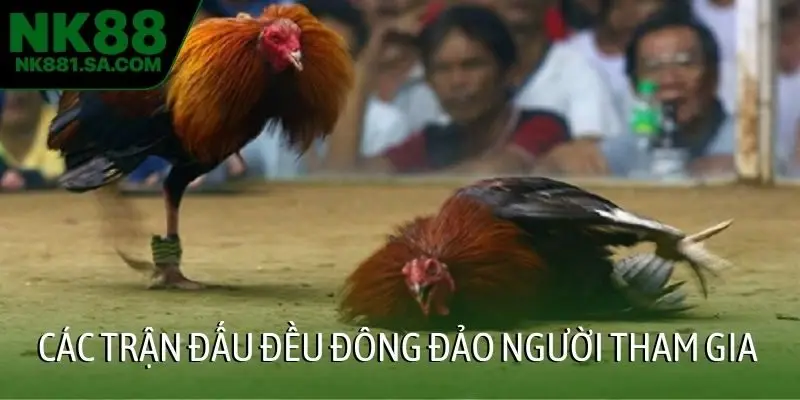 Các trận đấu đều đông đảo người tham gia