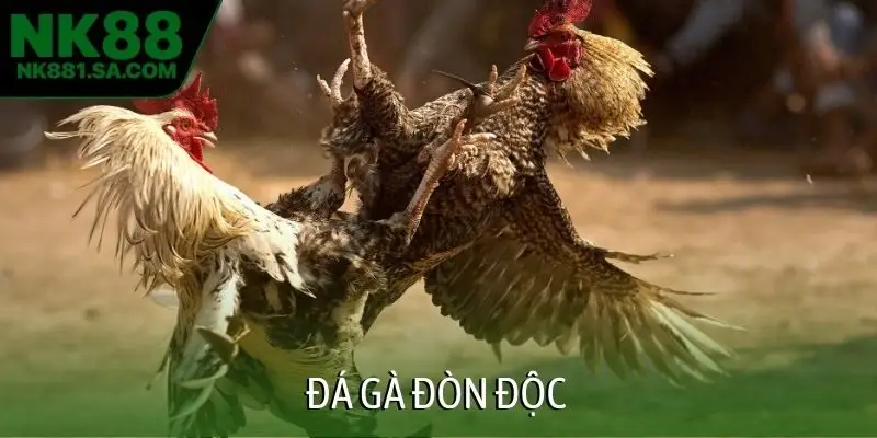 đá gà đòn độc