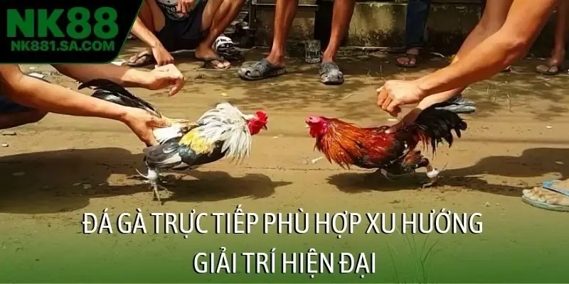 Đá gà trực tiếp phù hợp xu hướng giải trí hiện đại
