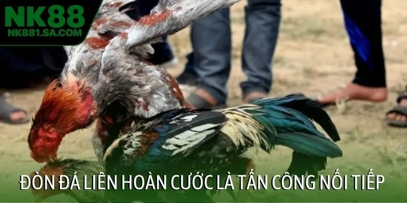 Đòn đá liên hoàn cước là tấn công nối tiếp