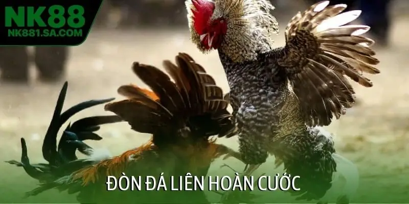 Đòn đá liên hoàn cước