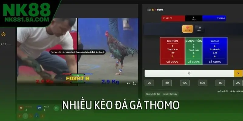 Nhiều kèo đá gà Thomo